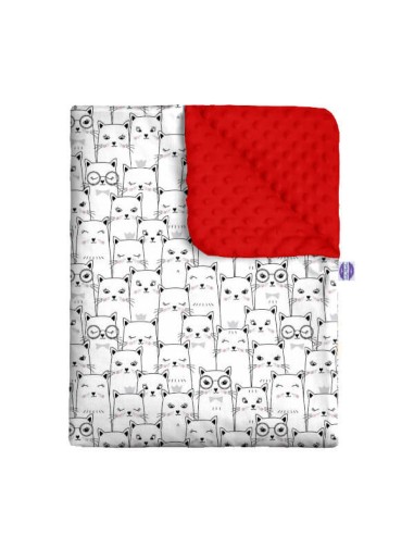 Kotek - Kocyk Minky - dowolny rozmiar