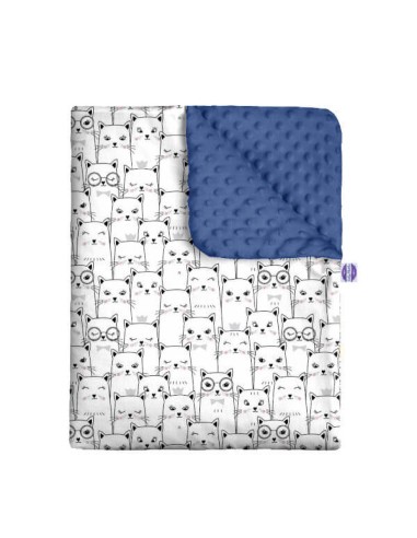 Kotek - Zestaw - Kocyk Minky + Poduszka Minky - dowolny rozmiar