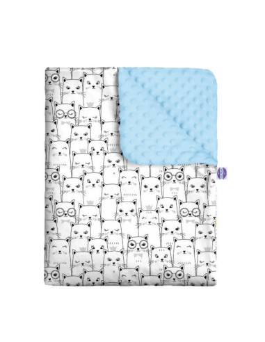 Kotek - Zestaw - Kocyk Minky + Poduszka Minky - dowolny rozmiar