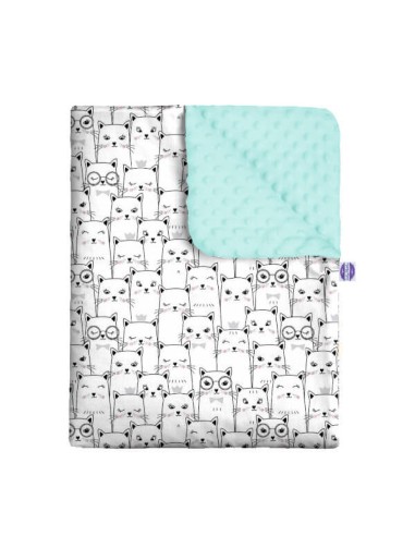 Kotek - Zestaw - Kocyk Minky + Poduszka Minky - dowolny rozmiar