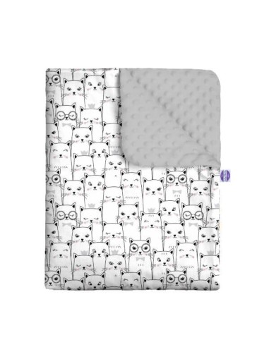 Kotek - Zestaw - Kocyk Minky + Poduszka Minky - dowolny rozmiar