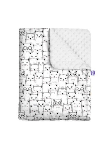 Kotek - Zestaw - Kocyk Minky + Poduszka Minky - dowolny rozmiar